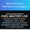Bartke, Hutchinson – Pixel Mastery Live Singapore