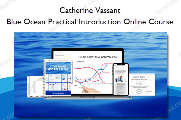 Blue Ocean Practical Introduction Online Course - Catherine Vassant Blue Ocean Practical Introduction Online Course - Catherine Vassant