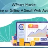 Buying or Selling A Small Web Agency – WPcare Market Buying or Selling A Small Web Agency – WPcare Market